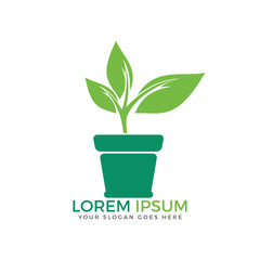 Fototapeta na wymiar Flower pot and plant logo. Growth vector logo.