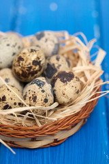 quail eggs in small dish on wooden background