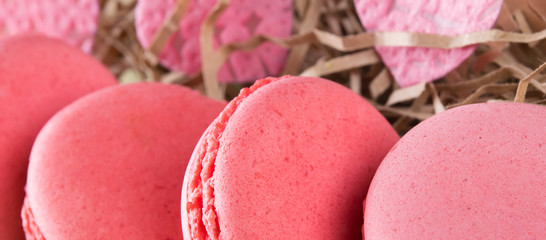 background of pink macaron, very close