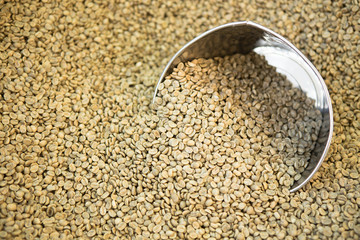 Selected coffee beans before roasted.