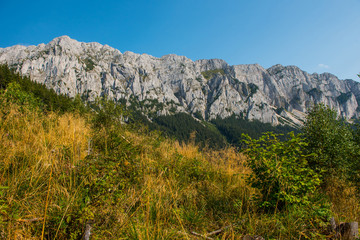Fototapeta na wymiar Limestone mountains. Southern Carpathians, Romania