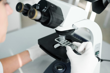 close up of scientist hands with microscope, examining samples