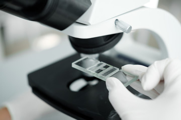 close up of scientist hands with microscope, examining samples