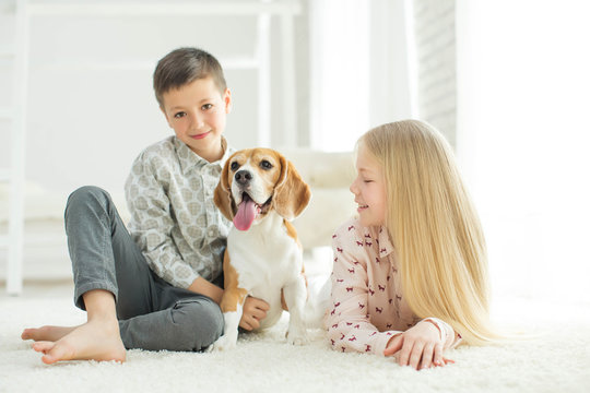 Children with a dog
