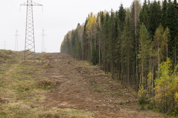 Fototapeta na wymiar Clearing cut in forest so power lines lines could be put up.