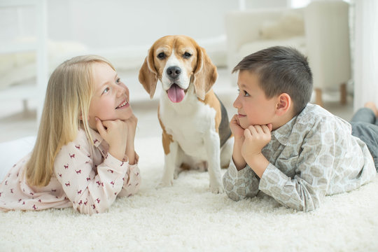 Children with a dog 
