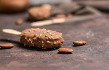 Vanilla Almond Ice cream at home with wooden stick