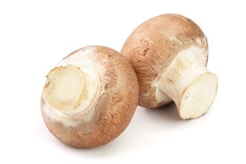Royal Brown champignon isolated on white background