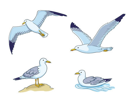 Seagull Cartoon Images – Browse 13,256 Stock Photos, Vectors, and Video |  Adobe Stock
