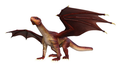 Naklejka premium 3D Rendering Fantasy Dragon on White