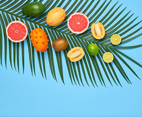 Tropical Summer Design Set. Palm Leaf and Fresh Fruits. Trendy Fashion concept. Vegan Colorful Flat lay. Creative Bright summer Blue background. Minimal