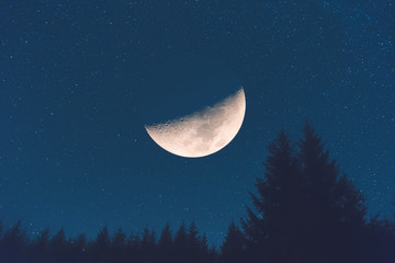 Half Moon with Milky way stars and tree silhouettes.  - obrazy, fototapety, plakaty