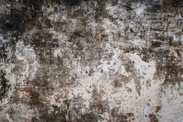 Wall texture