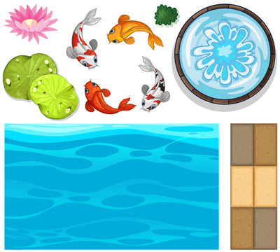 Water background with fish and lotus