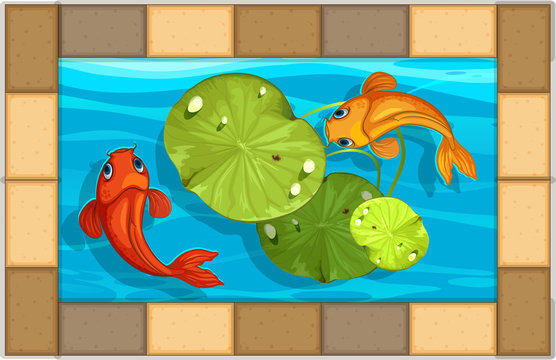 Two fish swimming in small pool