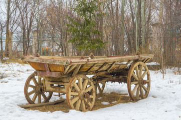 Fototapeta na wymiar At the edge of a shady rural park, you'll encounter an ancient wooden cart. Its timber saturated with history, and its wheels, embedded in the earth, seem to have slowed the passage of time.