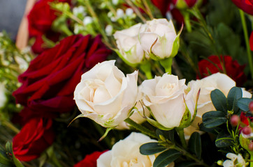 a beautiful spring bouquet of red and white pink roses. Spring holiday women's day, mother's day