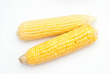 Golden Corn Isolated on a White Background. Top View of Two Raw corns.
