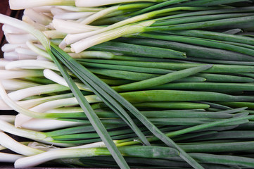 green fresh onion