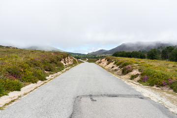 Fototapeta na wymiar Road in the middle of mountain landscape with fog
