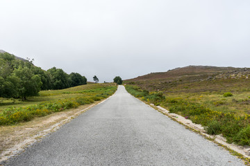 Fototapeta na wymiar Road in the middle of a mountain landscape 