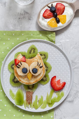 Cute owl pancake with fruits for kids breakfast