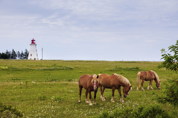 Panmure Head Lighthouse on Prince Edward Island