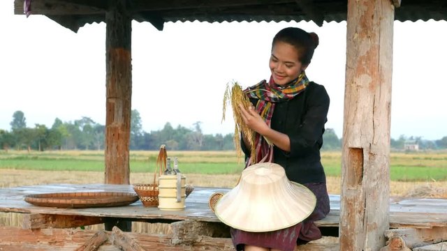 4k video of farmer woman holding rice and sitting in cottage at rice field