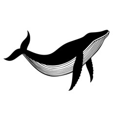 Naklejka premium whale3/Wector illustration with whale.