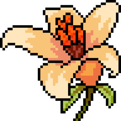 vector pixel art flower bloom