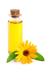 aromatherapy essential oil with marigold flowers isolated white background