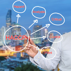 hand of businessman and red pen point to HACCP system drawing concept.
