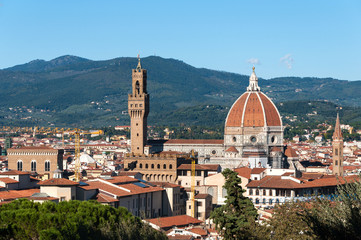 Fototapeta premium Beautiful panoramic view of the Cathedral of Santa Maria del Fiore and Palazzo Vecchio in Florence