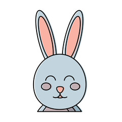 cute bunny portrait cartoon funny animal vector illustration