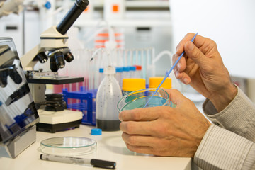 Microbiologist working in laboratory with Petri dishes and pipette