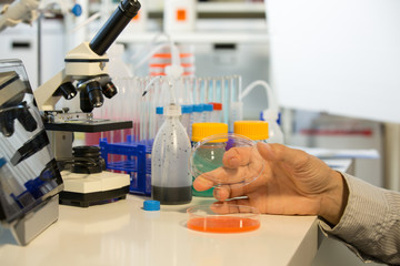 Microbiologist working in laboratory with Petri dishes and pipette