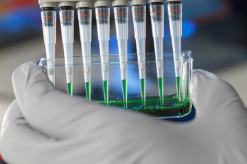 loading amplified DNA samples to agarose gel with multichannel pipette
