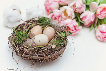 Spring greeting card. Easter eggs in the nest with cotton and tulips on rustic wooden planks. Easter concept. Flat lay. Spring flowers tulips