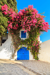 White-blue city of Sidi Bou Said, Tunisia.