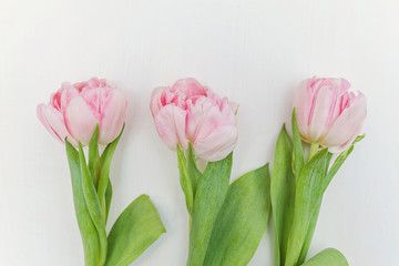 Bouquet of pink tulips over shabby white wooden table. Spring greeting card happy mother day copy space