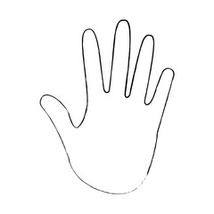 Obraz premium human hand showing five fingers open vector illustration