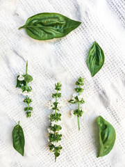 Basil leaves and flowers on white fabric