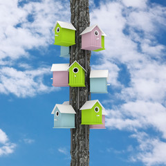 Many of Little Colorful Wooden Birdhouses over Tree Post. 3d Rendering