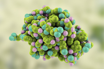 Molecular model of lysozyme protein found in tears, saliva, human milk and mucus, 3D illustration