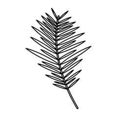 branch palm leaves frond natural vector illustration outline design