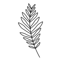 branch palm leaves frond natural vector illustration outline design