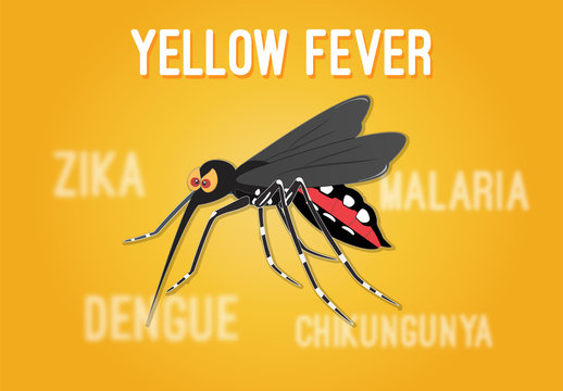 Yellow Fever English Title