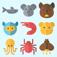 Naklejka premium Icons set about Animals with firefly, spider, shark, owl, octobus and squirrel