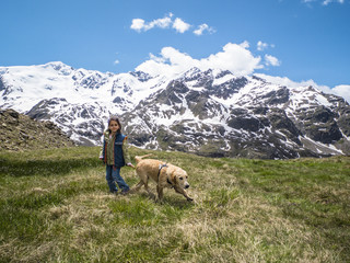 Italy, Lombardy, Alps, golden retriever puppy dog in mountain meadow with her mistress