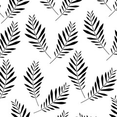 pattern design branch palm leaves nature decoration vector illustration